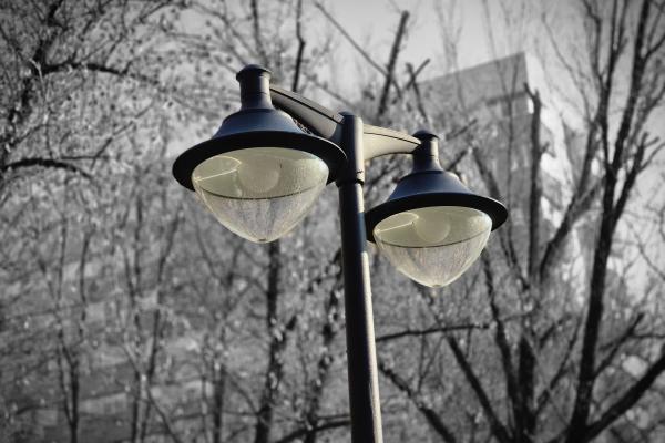 Samsung Galaxy S26 - Mostre bokeh