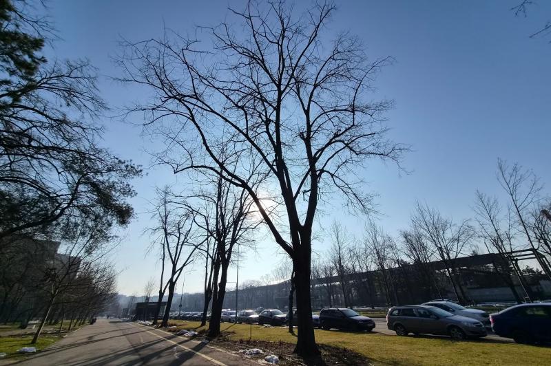 Samsung Galaxy S26 - Mostre zi: Mostre-zi_ (14).jpg