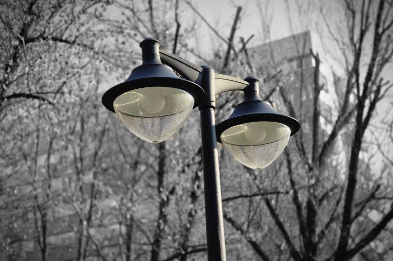 Samsung Galaxy S26 - Mostre bokeh: Bokeh_ (1).jpg