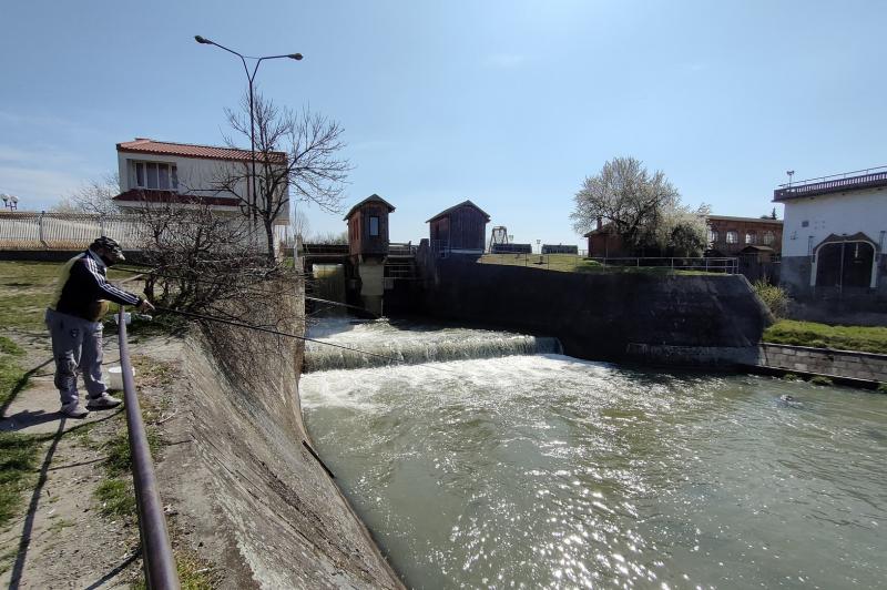 OPPO Reno5 5G - Mostre Foto (ziua): IMG20210329121354.jpg