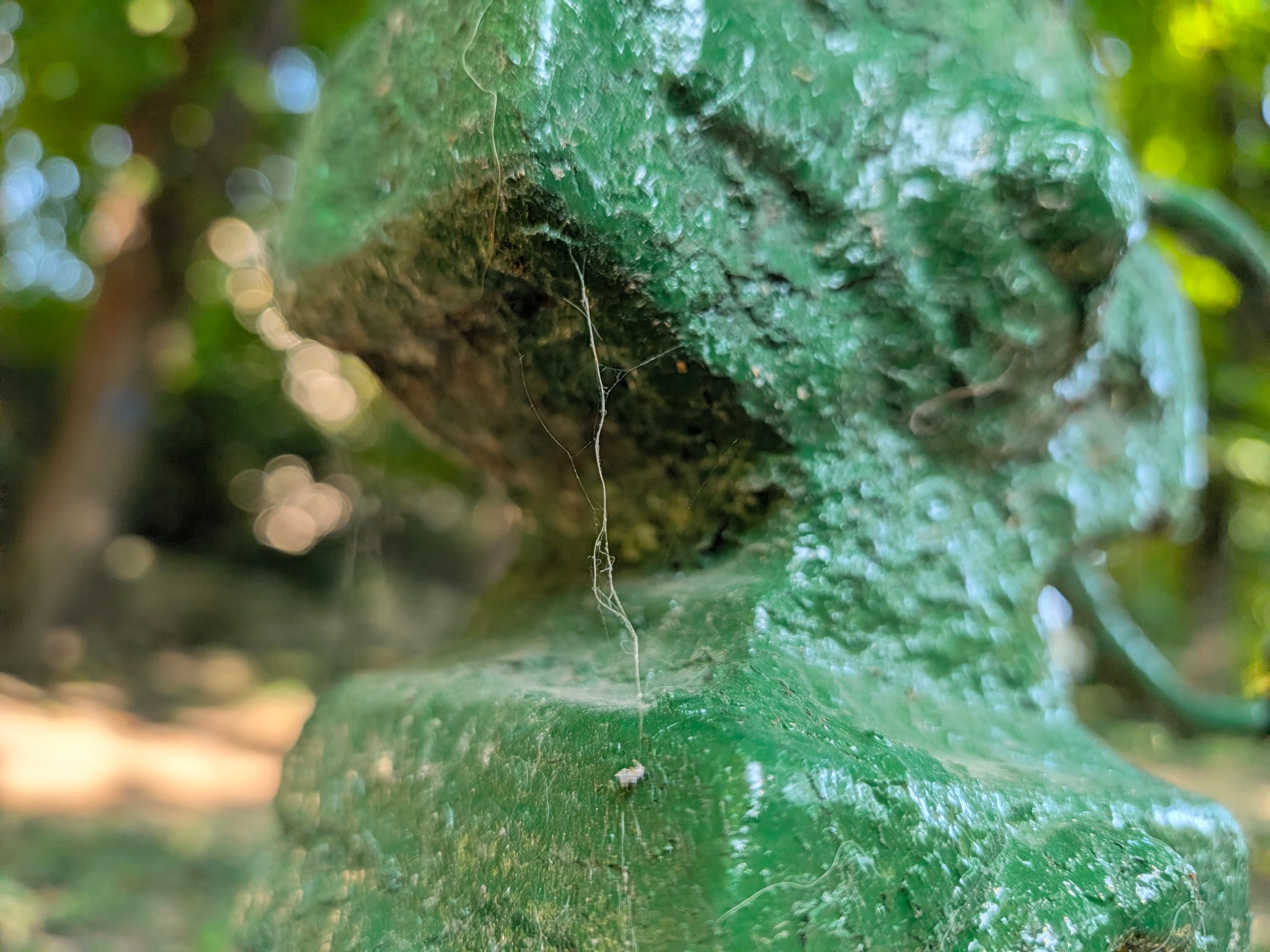 Google Pixel 11 - Mostre foto (macro): Macro_ (1).jpg