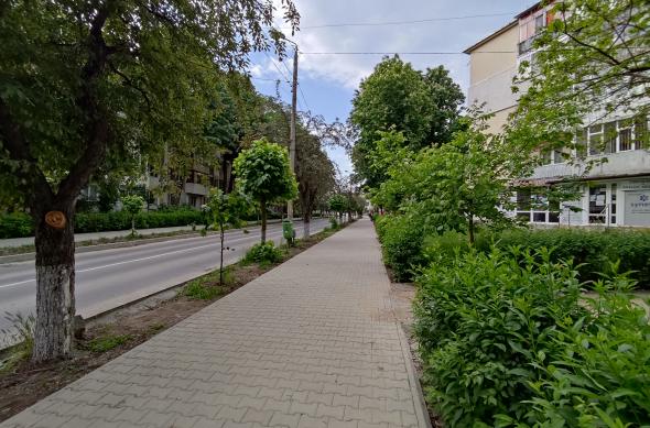 POCO X3 Pro - Mostre Foto (ziua): IMG_20210526_075034.jpg