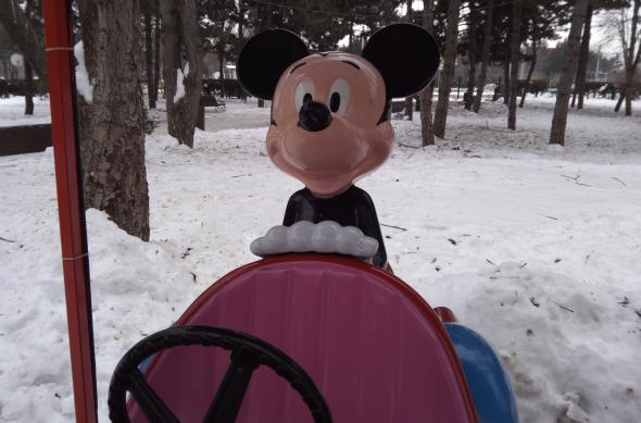 UMi Plus E - Mostre Foto (ziua): IMG_20170129_144637.jpg