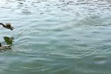 IMG_20170504_143000.jpg