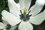 IMG_20170504_140814.jpg