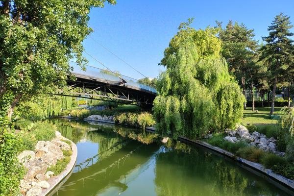 Motorola moto g85 - Mostre Foto (ziua)