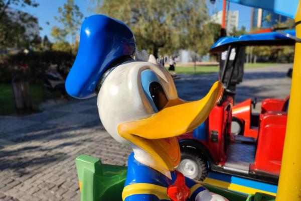 Xiaomi 11T Pro - Mostre Foto (ziua)