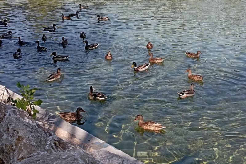 Redmi 10 - Mostre foto (zoom): Redmi-10-Mostre-Foto-Zoom_017.jpg