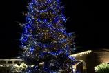 IMG_20171209_014536.jpg