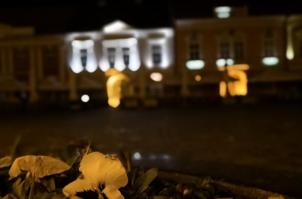 Huawei Mate 10 Pro - Mostre Foto (bokeh): IMG_20171209_020926.jpg