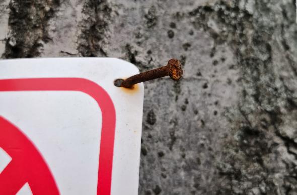 Huawei Mate 10 Pro - Mostre Foto (ziua): IMG_20171215_145615.jpg