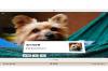 Huawei-MediaPad-M6-10_003.jpg