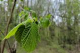 IMG_20190405_162613.jpg