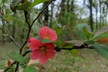 IMG_20190405_162740.jpg