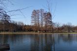 IMG_20190217_091604.jpg