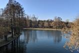 IMG_20190217_091319.jpg