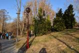 IMG_20190217_092107.jpg