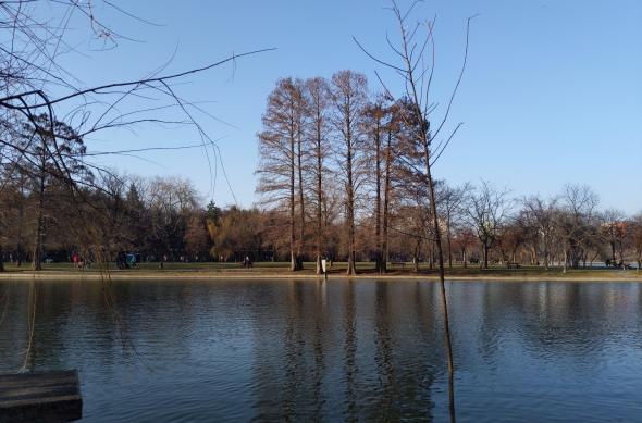 Google Pixel 3 XL - Mostre Foto (ziua): IMG_20190217_091604.jpg