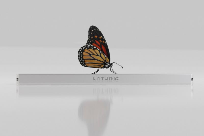 Nothing Fold 1 - Concept: FvClepEXoAAUMrl.jpg