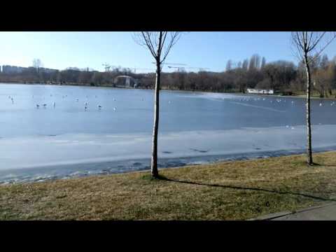 HTC One A9, mostră video, rezoluție HD 1280x720, 15 FPS - Mobilissimo.ro