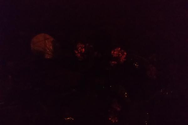 Sony Xperia Z5 Premium - Mostre Foto (seara)