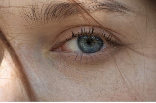 Mostre foto Vivo X100 Ultra și X100s: 6e16364dgy1hpdxze5z2pj23bk2ugnpf.jpg