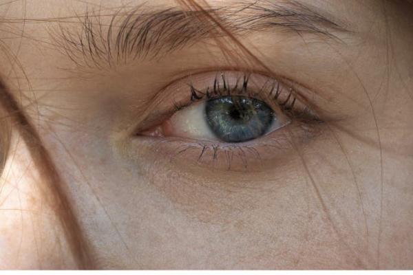 Mostre foto Vivo X100 Ultra și X100s