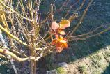 IMG_20250120_113500.jpg