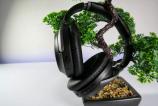 Avantree_Aria_Pro_1.jpeg