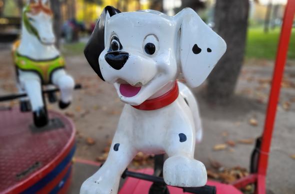 Mostre foto realizate în București cu Samsung Galaxy S20 FE 5G: 20201122_155148.jpg