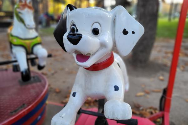 Mostre foto realizate în București cu Samsung Galaxy S20 FE 5G