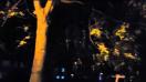 Samsung Galaxy S6 Edge+ Low Light Video Sample I. - Mobilissimo.ro