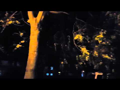Samsung Galaxy S6 Edge+ Low Light Video Sample I. - Mobilissimo.ro