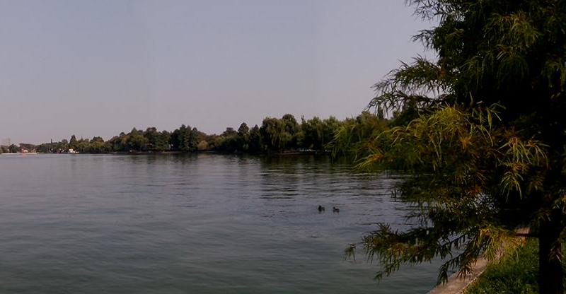 Allview P4 AllDro - Mostre Foto (ziua): Allview-P4-AllDro-Mostre-foto-ziua_001.jpg