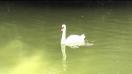 One Plus One Video Sample 1920x1080 30 FPS Zoom - Mobilissimo.ro