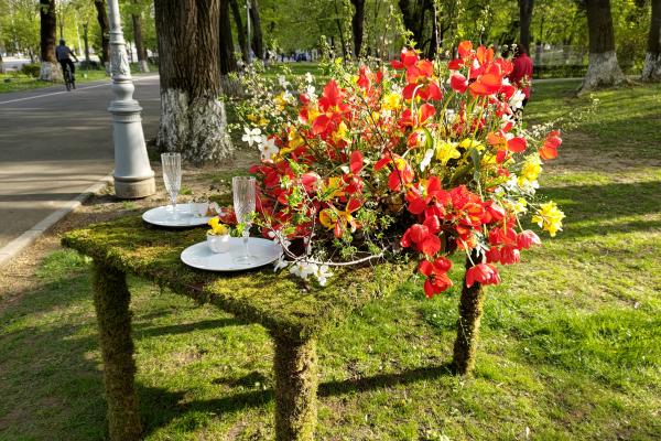 ASUS Zenfone 8 - Mostre Foto (ziua)