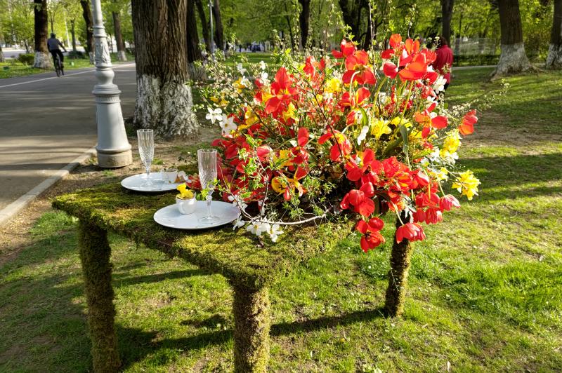 ASUS Zenfone 8 - Mostre Foto (ziua): P_20210425_173233.jpg