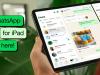 La 15 ani de la debutul WhatsApp avem o aplicație dedicată și pentru iPad! 