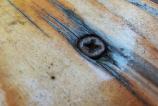 Honor-400-Mostre-Macro_007.jpg