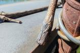Honor-400-Mostre-Closeup_007.jpg
