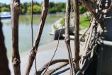 Honor-400-Mostre-Closeup_008.jpg