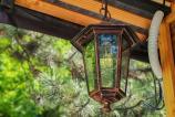 Honor-400-Mostre-Bokeh_008.jpg
