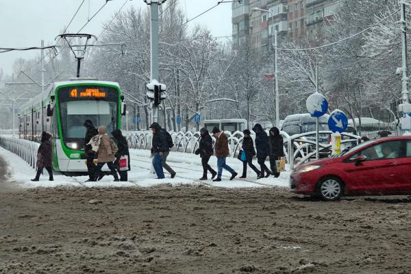 OnePlus 12 - Mostre zoom