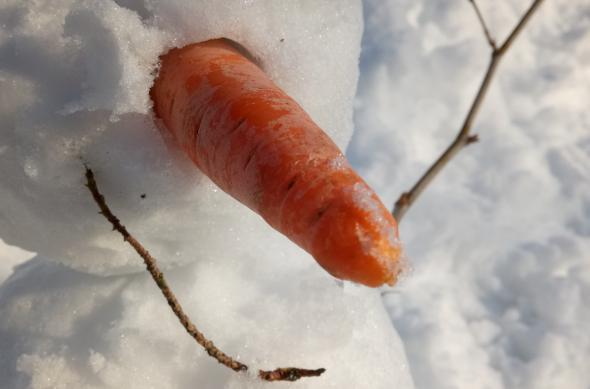 Allview P9 Energy - Mostre Foto (ziua): IMG_20170115_140223.jpg