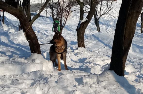 Allview P9 Energy - Mostre Foto (ziua): IMG_20170115_140115.jpg