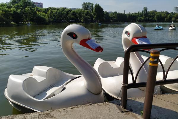 Xiaomi Mi A3 - Mostre Foto (ziua)