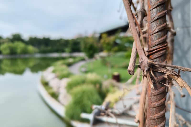 OnePlus Nord 3 - Mostre close-up: OnePlus-Nord-3-Closeup_012.jpg