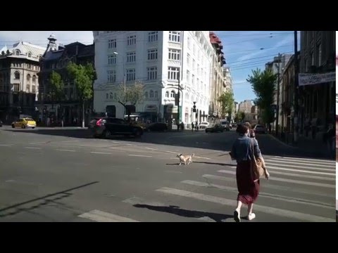 LeTV 1S, mostră video Full HD, 22 FPS (slow motion) - Mobilissimo.ro
