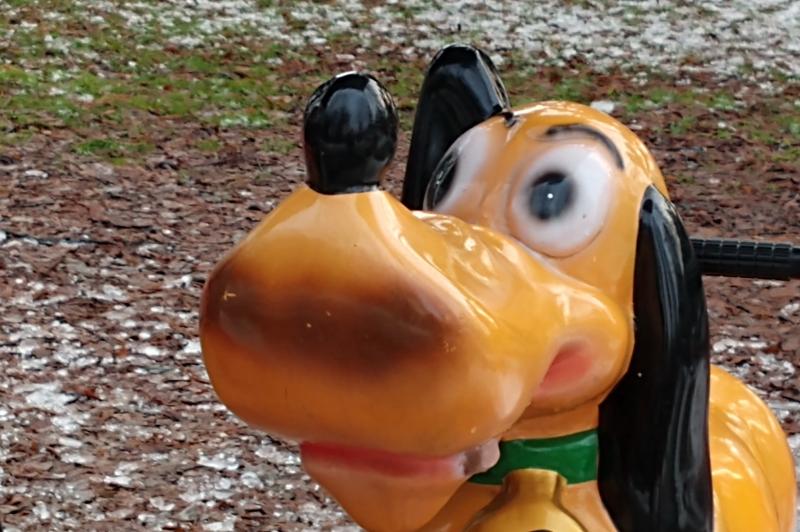 Motorola Moto Z3 Play - Mostre Foto (ziua): IMG_20190129_161546532.jpg