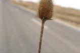 IMG_20190304_174559.jpg